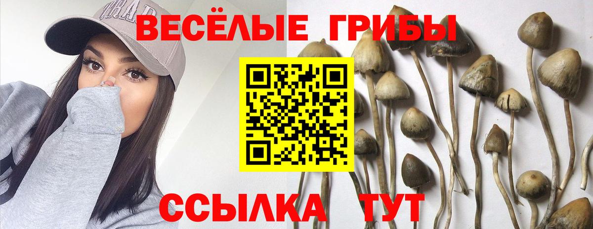 Галлюциногенные грибы GOLDEN TEACHER Старый Оскол