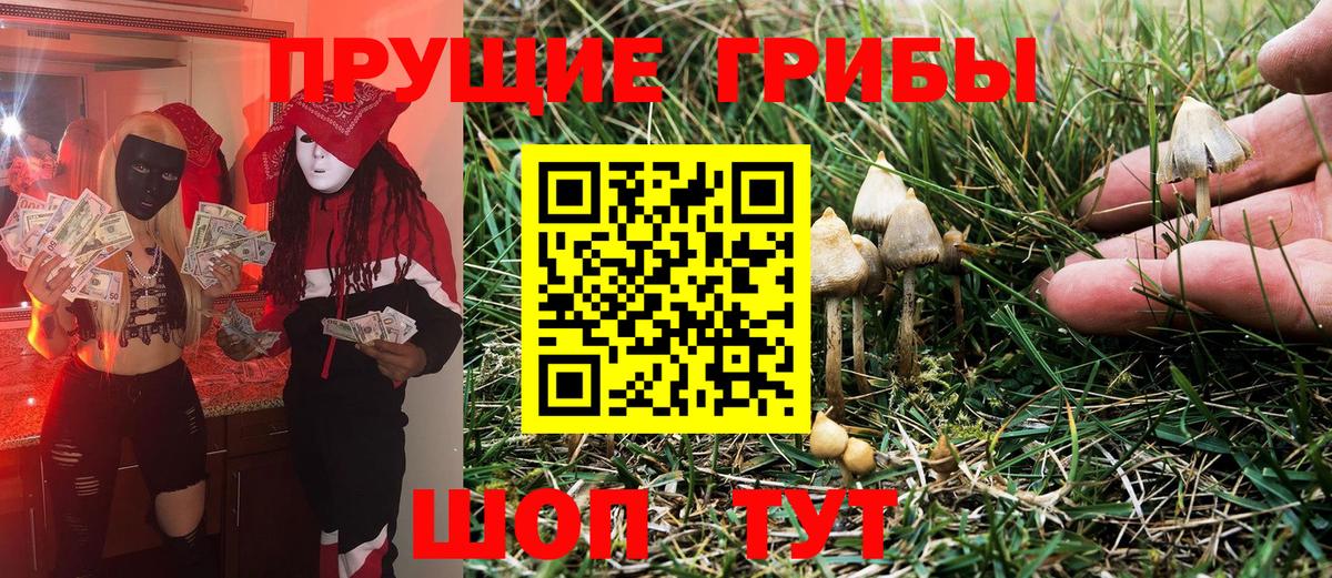 Псилоцибиновые грибы Magic Shrooms  Вход с VPN  Старый Оскол 